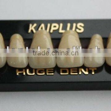 CE certificated Four layers kaiplus Synthetic polymer teeth