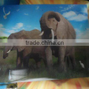 3d lenticular picture of elephant