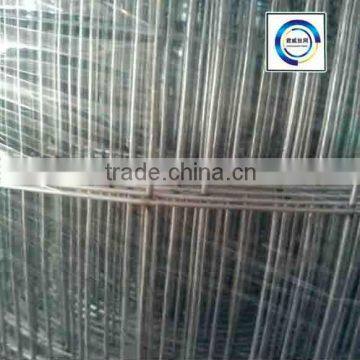 Anping Factory Pvc Coated/ Galvanized Welded Wire Mesh Roll