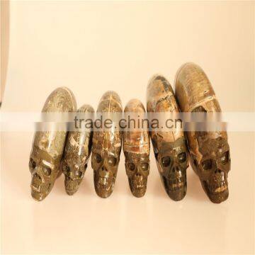 Best selling Amazing Beautiful Natural Pretty Ammonites skulls for wholesale