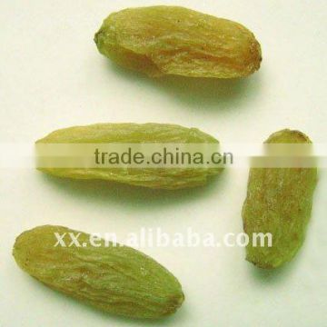 jumbo green raisin dried fruits