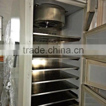 blast chiller freezer , fruit paste chiller freezer