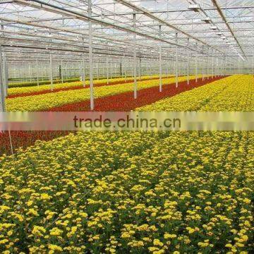 Polycarbonate Hollow sheet for Agricultural greenhouse/pc hollow sheet