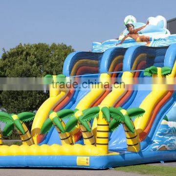 New surfing inflatable slide/inflatable water slide/used inflatable water slide for sale