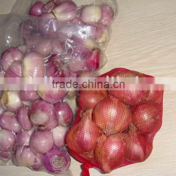 shallot