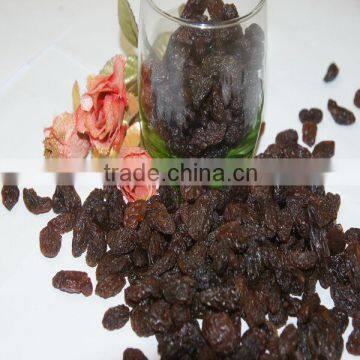 China origin delicious sultanas brown color