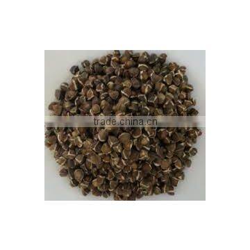 moringa seeds