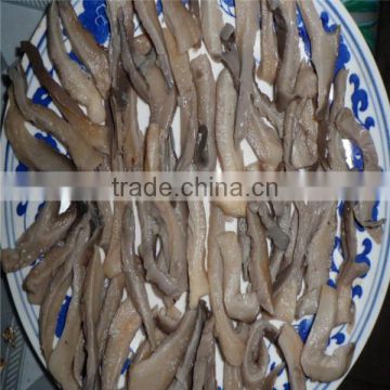 oyster mushroom preserved 50kg drum grey oyster mushroom in brine preserve oyster mushroom price