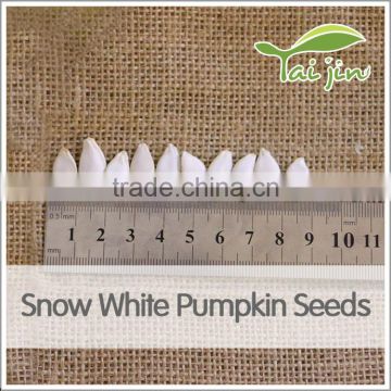 dry confectionary snow white pumpkin seed