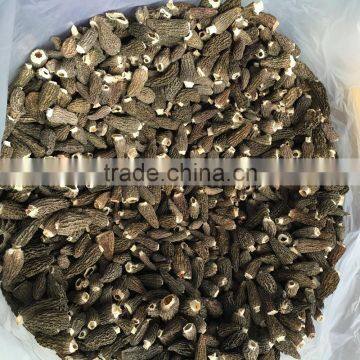 High Quality Dried Morels photo-4