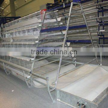 Laying Birds Cage of automatic drinking feeding system