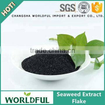 Best price high soluble seaweed extract flake,seaweed extract agriculture fertilizer price