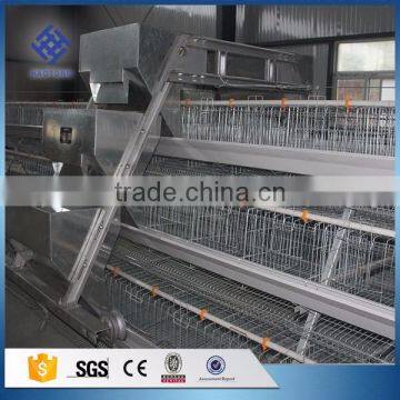 30 Years' Factory Supply Automatic Layer Chicken Cage photo-2