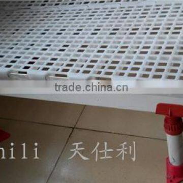 Duck plastic slat floor