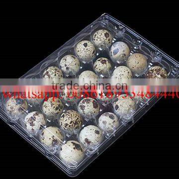 24 Holes rectangular clear transparent plastic quail egg cartons, plastic quail packing tray 24eggs