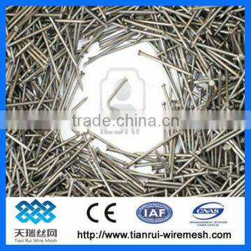 All size of good quality galvanized common nails