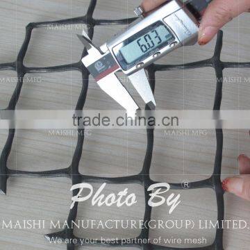 Hdpe Diamond Plastic Wire Mesh(factory) photo-4