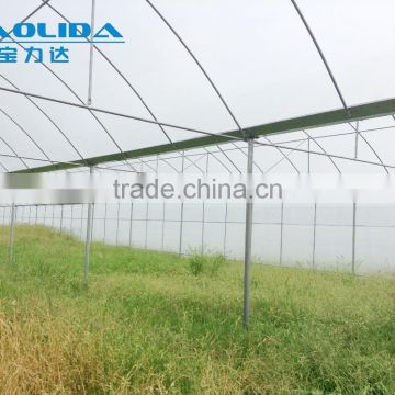 large plastic film multi-span greenhouse for plant growing or commercial use