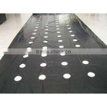 Agricultural Black Perforted Plastic Mulch Film photo-2