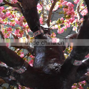 SJ1501033 Four Season Arvores Artificial Cherry Flower Tree With Factory Price photo-5