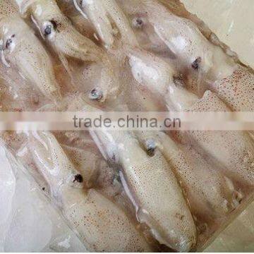 замороженные продукты из kalmаров