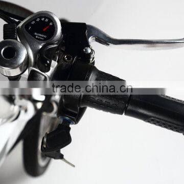 Baogl Efb06 Cheap 36V Controller Electric Folding Bike photo-4