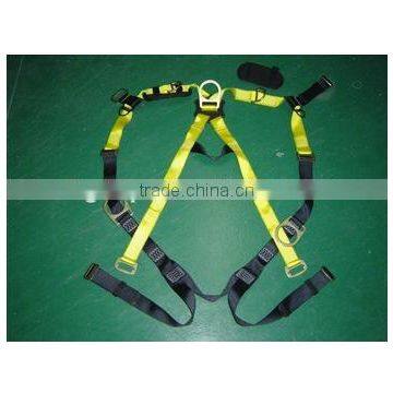 Lanyard with safety harness