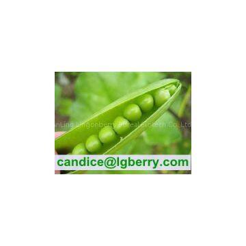 Natural Pea Protein Isolate Powder