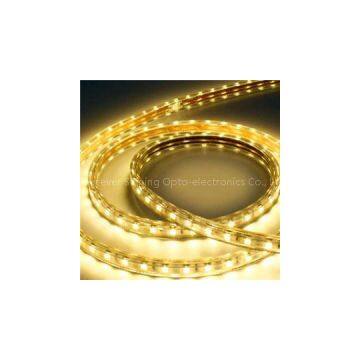 Ultra Bright 60leds/m 5050 LED Strip 220v 110v High Voltage Colorful Waterproof Led Strip Light