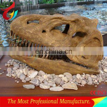 Museum dinosaur head model fossil decoration