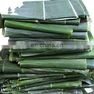 100% natural fresh banana leaf from Vietnam