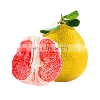 new crop top quality fresh red honey Pomelo