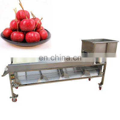 Automatic vegetable weight classifier Fruit Sorting Grader Machine