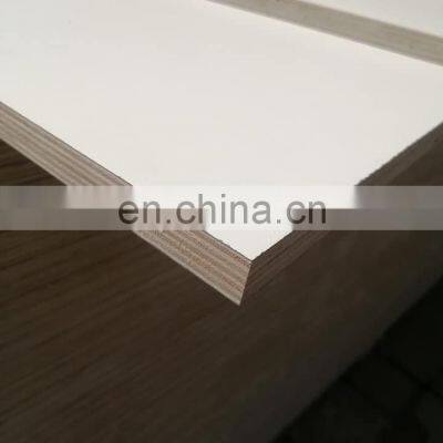 Commercial Okume Plywood BB/CC 18mm photo-2
