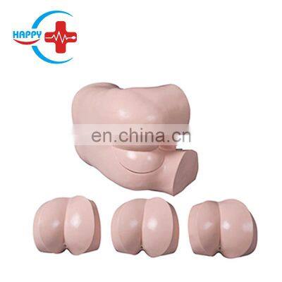 HC-S554 Medical training model human rectal touch examination teaching simulator