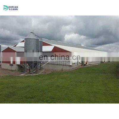 Steel Frame Poultry House for 10000 Chickens Chicken Houses Sale
