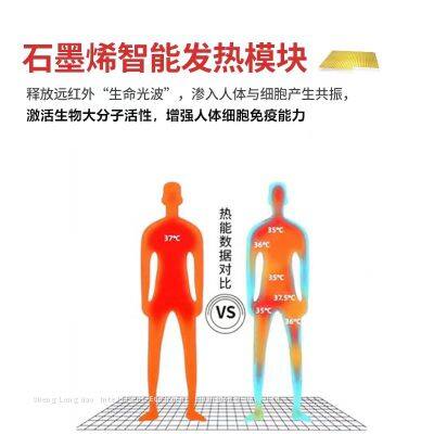 Magnetic Removable Heating Insole photo-3
