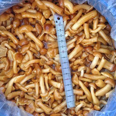 Nameko in brine FAQ, Birned mushrooms, edible fungi,cleaning