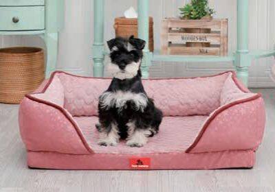 Orthopedic Couch Pet Bed with Bamboo Charcoal Foam Cushion