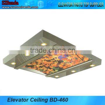 Elevator Parts/Passenger Elevator Cabin Ceiling