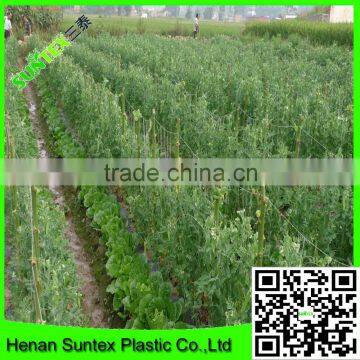 Heavy duty long-lasting polyester trellis netting pea & bean support net&plant support web garden