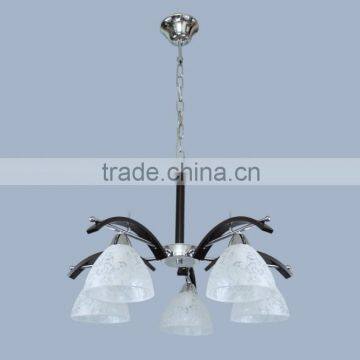 2013 modern chandelier & pendant lamp / round ball pendant lighting