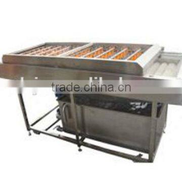 Large Production Capacity For Fuit Washing Mchine In Brush Type photo-3