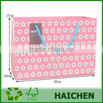 2013 Shopping Paper Bag/kraft Paper Bag photo-4