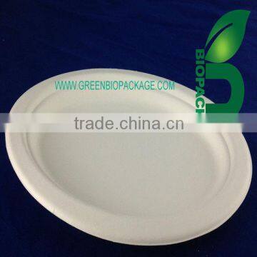 a Biodegradable Disposable Sugarcane Bagasse Ellipse Plate