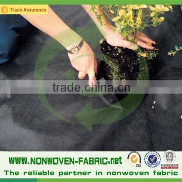 PP Landscape Fabric Weed Control Fabric pp Ground Cover photo-5