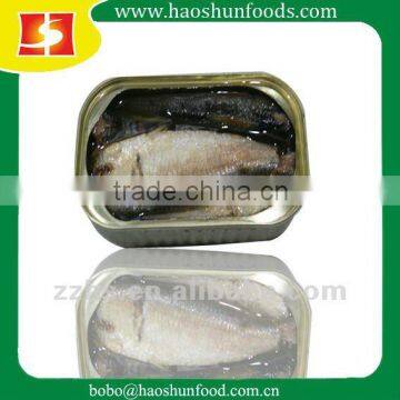 Canned Sardin in oil