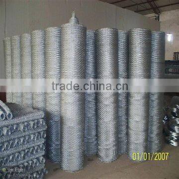 1/2 Inch Hot Dipped Galvanized Hexagonal Wire Netting photo-5