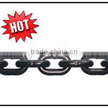 G80 lifting chain