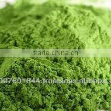 Organic Wheatgrass Powder